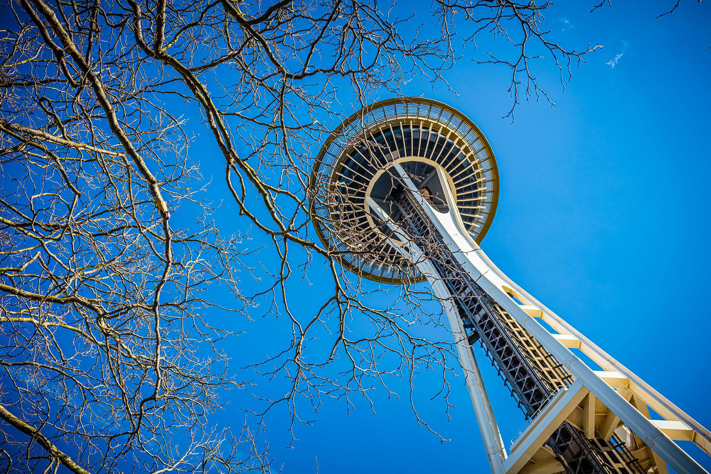 Seattle's Space Needle